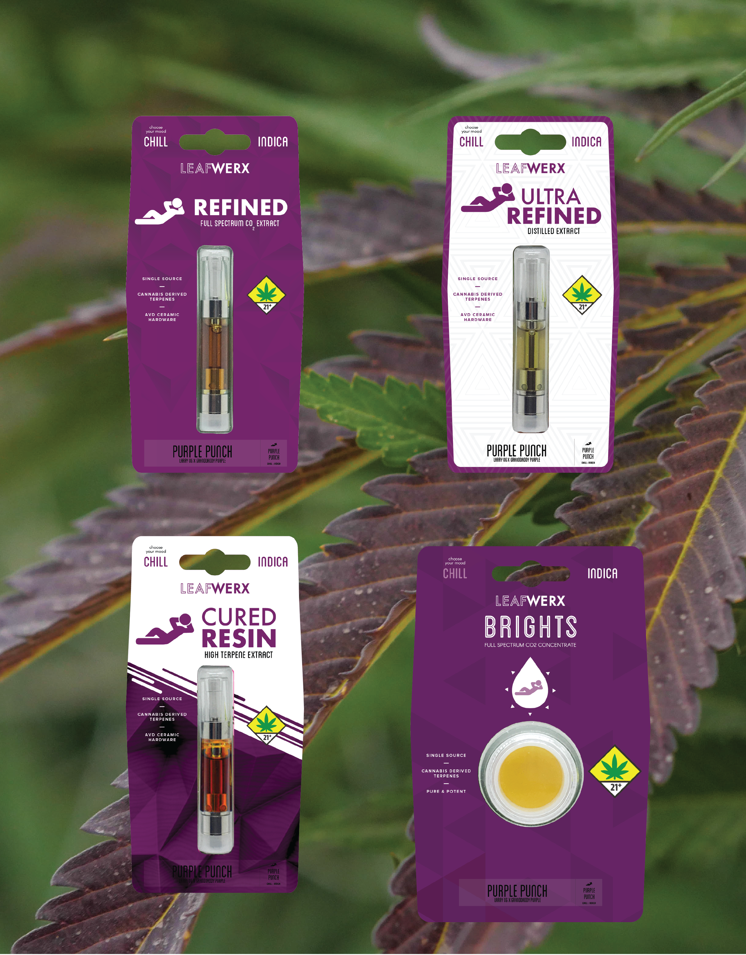 専用　CRDP×DGNリキッド 1ml Purple Punch Strain Spotlight Purple Punch — Leafwerx